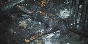 Pór último vemos un cadáver justo en la entrada. Por qué el hombre no subió a plantas superiores? Qué le hizo quedarse allí justo en la entrada?