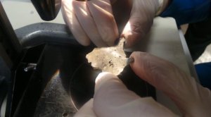 Lab investigation. (picture Jeroen Akkermans / RTL News)