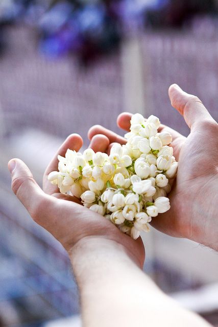 2ccfd8b4cfe7da51d398f706a01f61d6