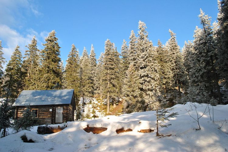 1200px-%d0%ba%d0%be%d0%bb%d0%b8%d0%b1%d0%b0