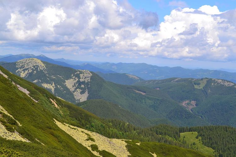 1200px-%d0%bd%d0%b0_%d1%81%d1%85%d0%b8%d0%bb%d1%96_%d0%b4%d0%be%d0%b2%d0%b1%d1%83%d1%88%d0%b0%d0%bd%d0%ba%d0%b8