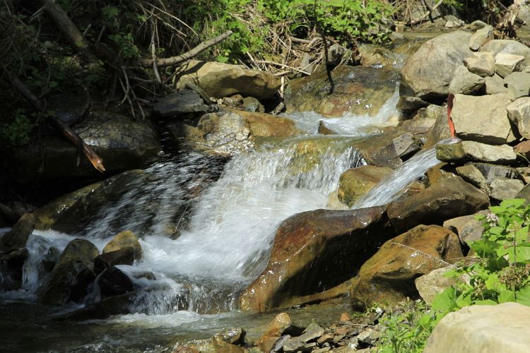 1200px-%d0%be%d0%b0%d0%b7%d0%b8%d1%81_%d0%b2_%d0%b3%d0%be%d1%80%d0%b3%d0%b0%d1%85