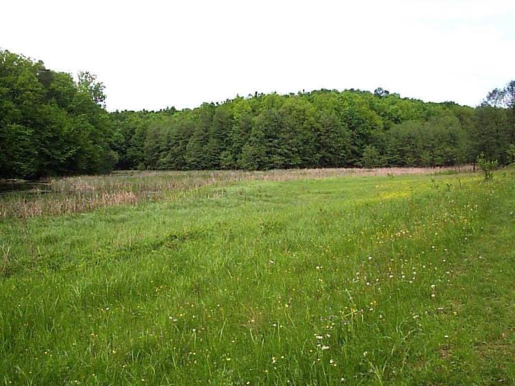 16129314_10210017153699735_406757865_o