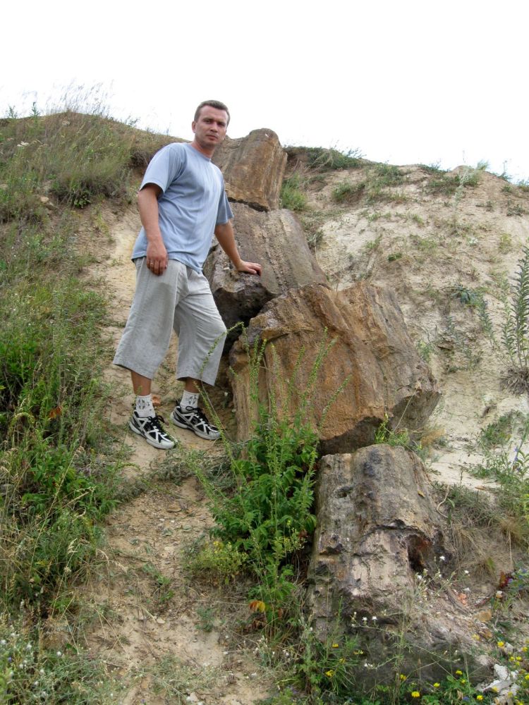 Окаменелый_ствол_в_окрестностях_памятника_природы_-Дружковские_окаменелые_деревья-