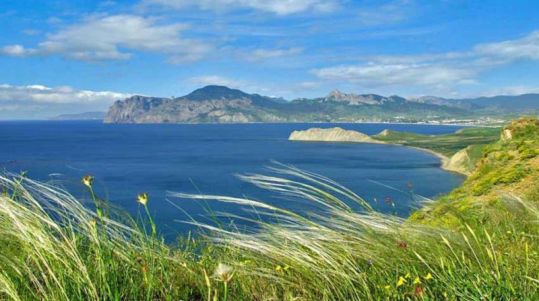 2202908_800x600_timthumb