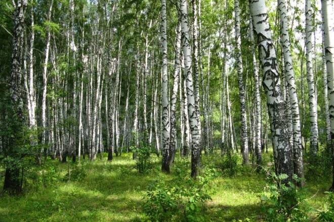 ff293680071838500ba40aa8cb1be006-medium66